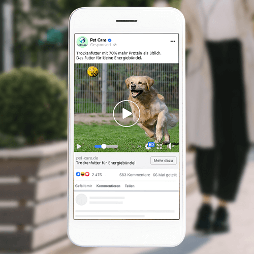 Facebook Ads - Video Ads